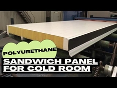 Panneaux muraux de maison de construction Isolement thermique en polystyrène